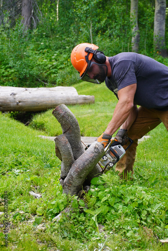 A full-length vertical shot of a professional male arborist wearing an orange safety helmet, ear protection, and work gloves bending down to cut through low tree roots or a stump with a gas-powered ch