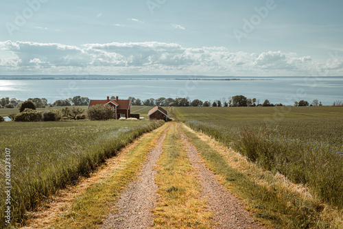 Traditional red Swedish wooden cottage by the waterfront in summer, Sweden.