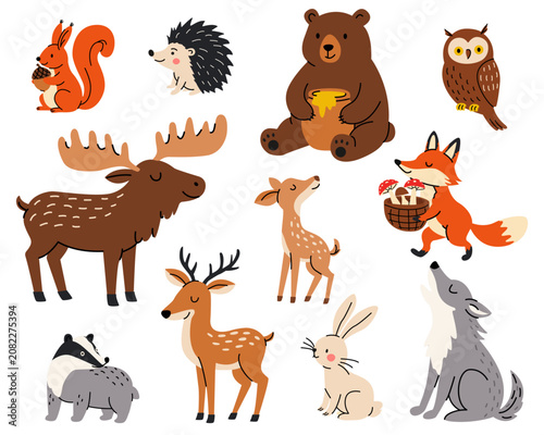 Vector elements of forest animals in doodle style. Collection of cute forest wild animals including wolf, bear, hedgehog, fox, deer, rabbit, squirrel, moose, badger and owl. Forest animals.
