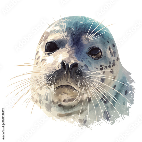 Obraz na plátně Stylized watercolor Seal vector, modern artistic illustration with high-quality details on a pure white background