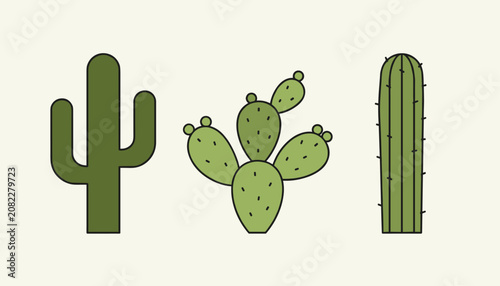 Three distinct species of green desert cacti arranged in a row isolated against a light cream background.