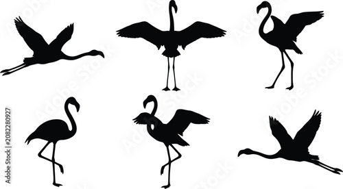 Quadro su tela Elegant black flamingo silhouettes in diverse poses including flying, standing, walking, and balancing on one leg, perfect for wildlife, nature, and bird illustration themes