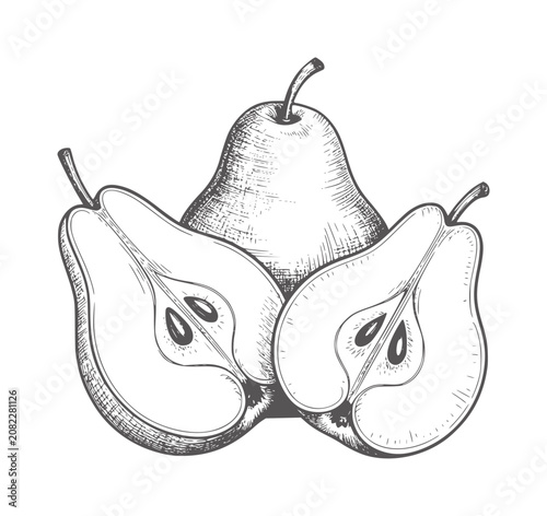 Tableau sur toile Pencil of whole and halved pears fruit vintage food healthy
