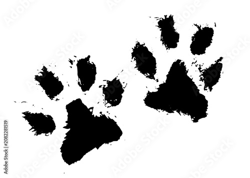 Two distinct animal paw prints with a rough, hand-drawn ink texture, representing wildlife tracks or pet footprints for creative nature and animal-themed graphic designs.