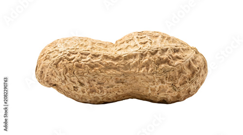 Fotografie Single whole peanut in its textured tan shell shown in extreme closeup detail is