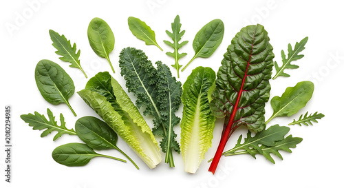 Fresh leafy greens vegetables arranged on white background for healthy eating and nutrition transparent background