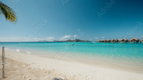 tropical beach with palm trees