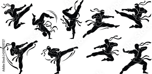 Vászonkép Black silhouette karate kicks and punches
