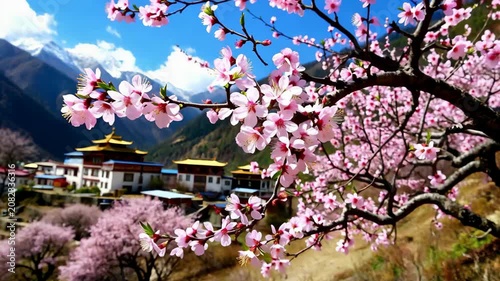 Nyingchi peach blossoms and Tibetan architectural scenery, pink peach blossoms under the snow-capped mountains