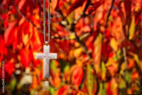 Sliver Cross On Chain
