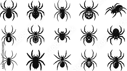 Bild auf Leinwand Black spider silhouettes collection diverse arachnid vector graphics for hallowe
