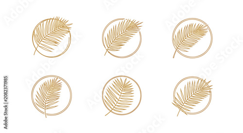Fotografie Golden wheat sheaves on white background isolated.