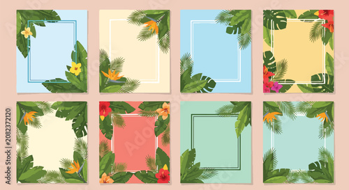 Schilderij op canvas Assorted potted green plants on colorful window sills.