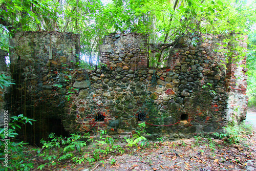 Old stone structure overtaken by lush tropical vegetation on Tortola British Virgin Islands