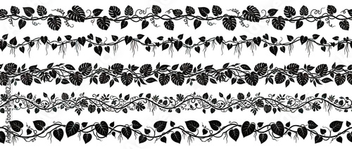 Black Vine Border Designs: Tropical Leaves and Climbing Plants Collection