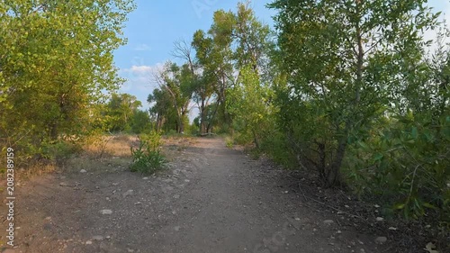 Immersive POV from recumbent trike ride on a rough gravel trails along the Poudre River in Fort Collins, Colorado - summer scenery