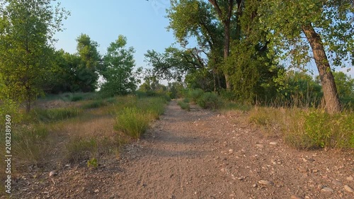 Immersive POV from recumbent trike ride on a rough gravel trails along the Poudre River in Fort Collins, Colorado - summer scenery