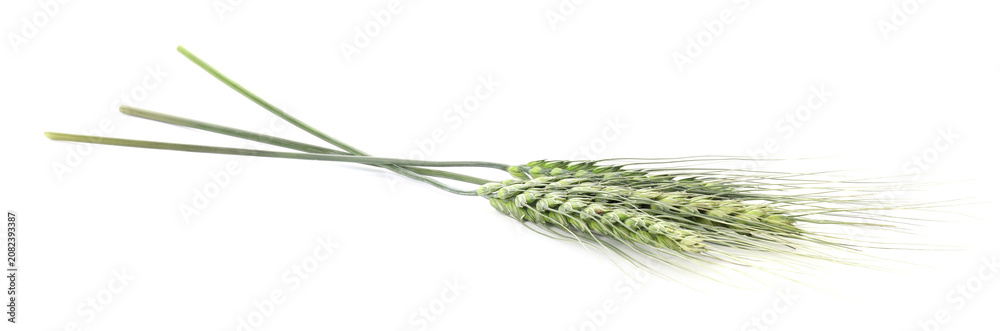 Fototapeta premium Three green wheat spikes isolated on white