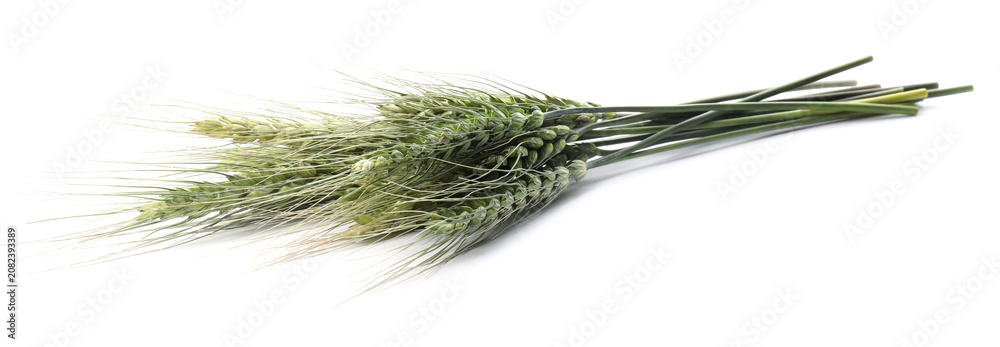 Fototapeta premium Bunch of green wheat spikes isolated on white