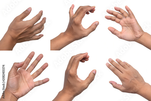 Collection of human hands showing various gestures on white background with gestures grasping reaching physical communication expression isolated background collection
