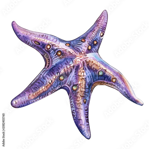 фотографія Starfish watercolor painterly illustration, semi-realistic fantasy design, magic