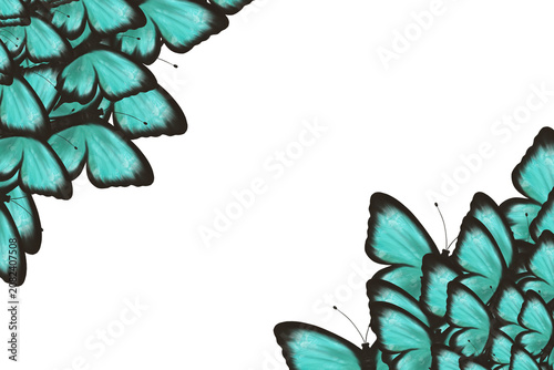 Turquoise butterfly corner frame with elegant wings and generous copy space. Decorative nature template for invitations, greeting cards, wedding stationery, posters, and branding