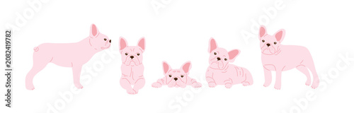Cute pink pug in different poses. Flat vector illustration for pet lovers, dog breed collections, charming mascot designs, and kid friendly branding. Perfect for stickers, nursery decor, merchandise.