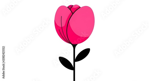 Pink Tulip Flower with Stem and Leaves on White image photo