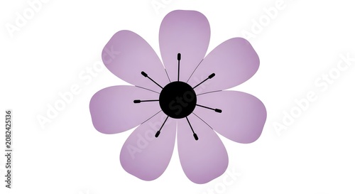 Purple Flower with Center and Stamens on White violet petals