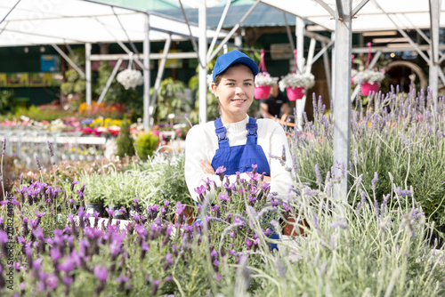 Bild auf Leinwand Young female flower shop worker changes arrangement of pots with lavender and improves appearance of window