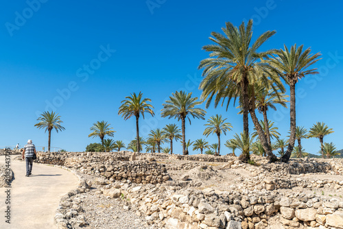 Foto Walkway and palm trees growing at Tel Megiddo National Park in northern Israel