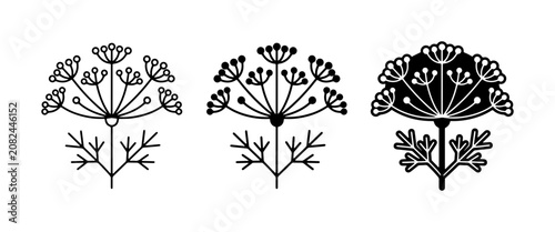 Fotografie Floral Vector Icons, Delicate Dill Umbel Designs, Botanical Line Art Elements, H