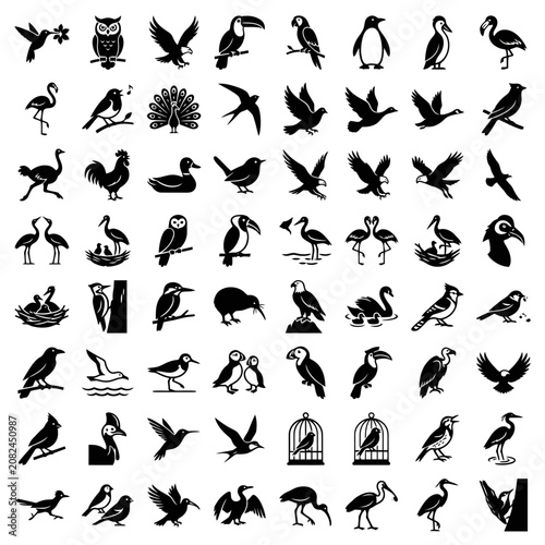 Collection of Bird Silhouettes: Diverse Species and Poses
