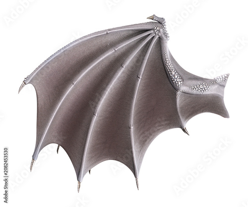 3d render fantasy ivory dragon wings isolated