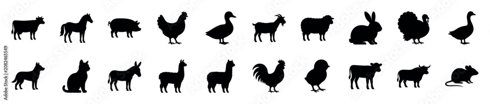 Fototapeta premium Collection of various black farm animal silhouettes including a cow, horse, pig, chicken, duck, goat, sheep, rabbit, turkey, goose, dog, cat, donkey, llama, rooster, chick, calf, bull, and