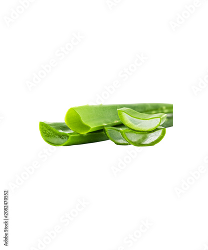 fresh green leaf