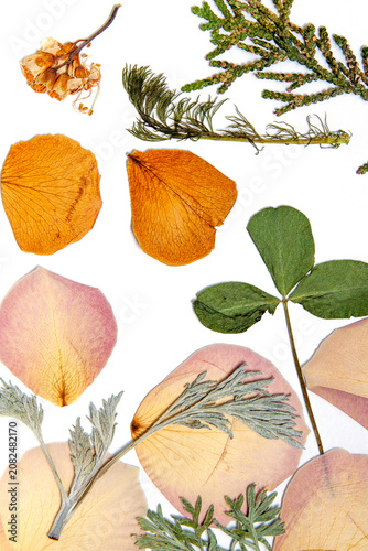 Dried yellow and pink flower petals with green leaves scattered on a white surface.