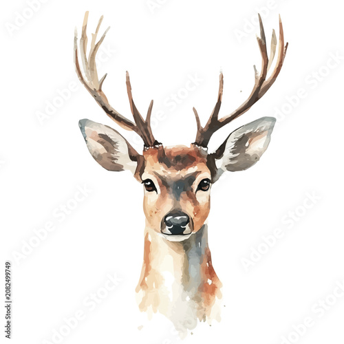 Canvas Print Maral Deer, watercolor illustration vector, isolated on a white background