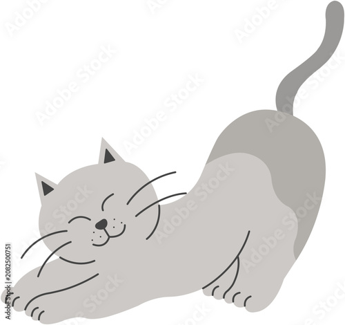 고양이