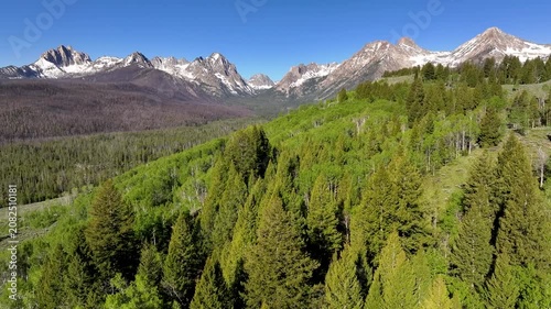 Forest fire burn area in the Sawtooth mountains
