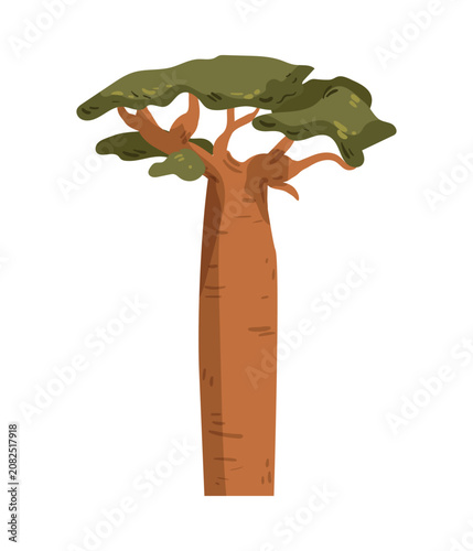 Cartoon vector illustration of a tall African baobab tree with a thick trunk. Isolated object on white background.