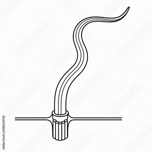 Eukaryotic Flagellum Structure Educational Biology Illustration Isolated on White Background