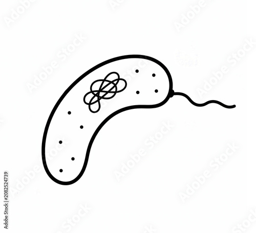 Vibrio Bacterium Structure Educational Biology Illustration Isolated on White Background