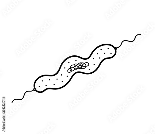 Spirillum Bacterium Structure Educational Biology Illustration Isolated on White Background