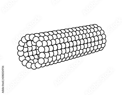 Microtubule Structure Educational Biology Illustration Isolated on White Background