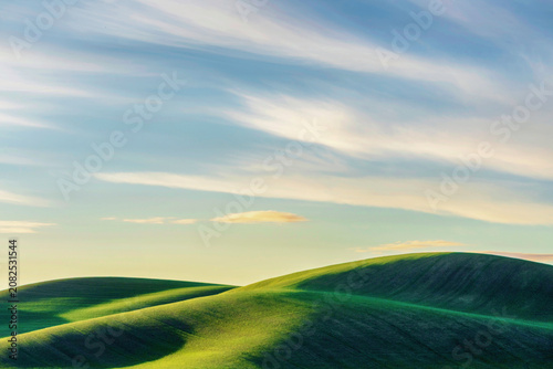 green field and blue sky