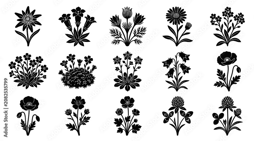 Fototapeta premium Black and White Silhouette Botanical Wildflowers and Herbs Icons Collection - Nature Flora Vector Art