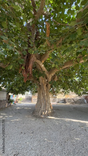 Abha, Saudi Arabia