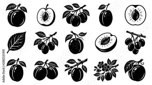 Food  Nature Black and White Plum Glyphs Set - Silhouette Illustrations of Fruits, Leaves, and Branches