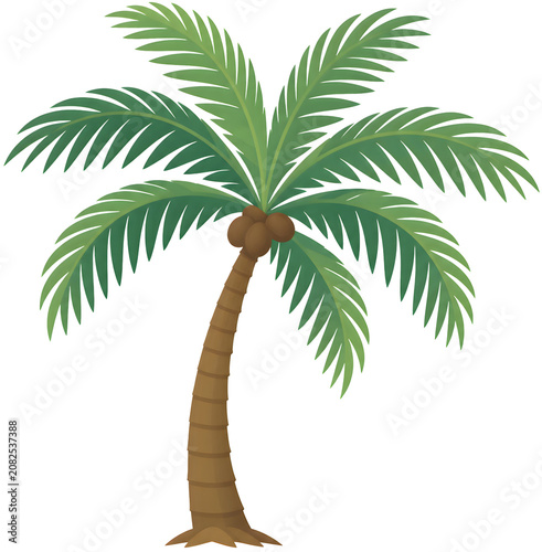 palm tree vector illustration